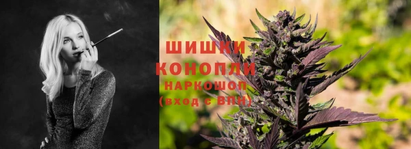 ПСИЛОЦИБИНОВЫЕ ГРИБЫ Беломорск