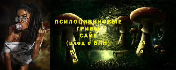 прущие грибы Белокуриха
