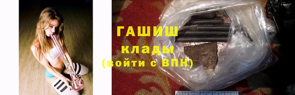 прущие грибы Белокуриха
