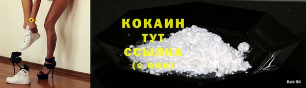 прущие грибы Белокуриха