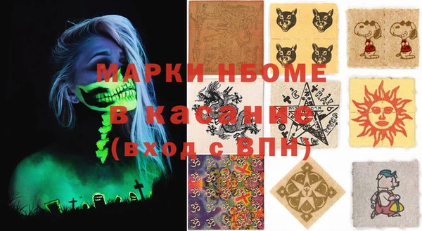 прущие грибы Белокуриха