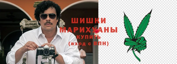 спиды Богородицк